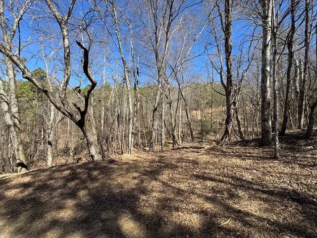 $75,000 | 2 Crockett Mountain Lane, Hayesville, NC 28904