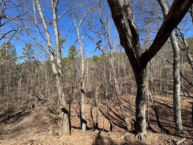 $75,000 | 2 Crockett Mountain Lane, Hayesville, NC 28904