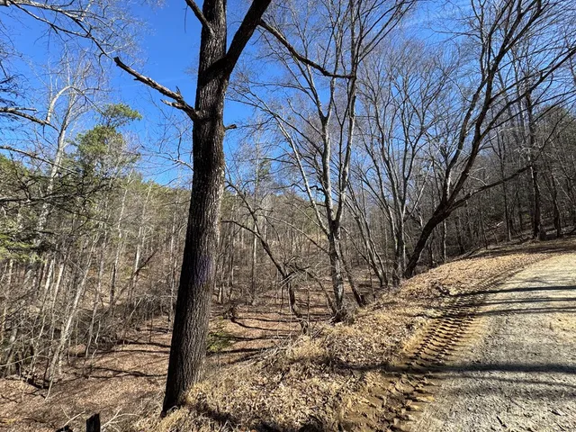 $75,000 | 2 Crockett Mountain Lane, Hayesville, NC 28904