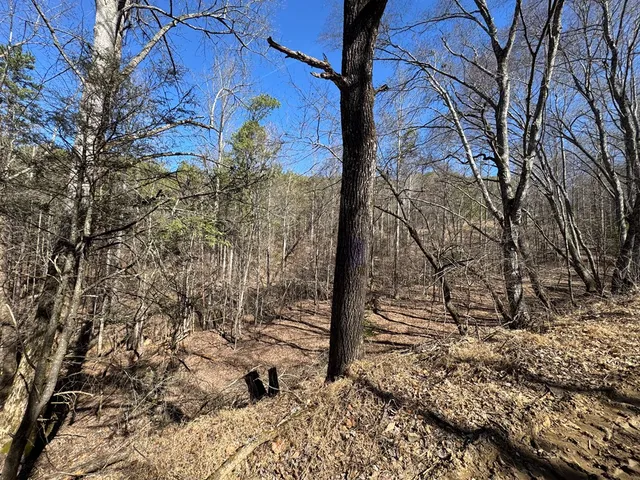 $75,000 | 2 Crockett Mountain Lane, Hayesville, NC 28904