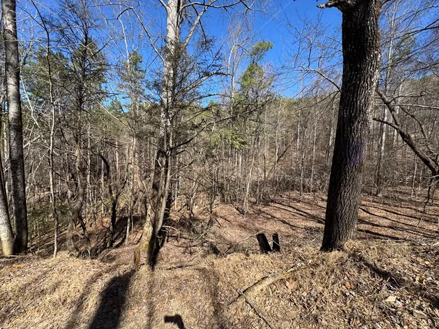 $75,000 | 2 Crockett Mountain Lane, Hayesville, NC 28904