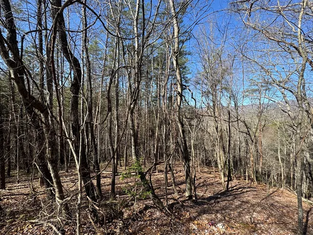 a view of a backyard of the house