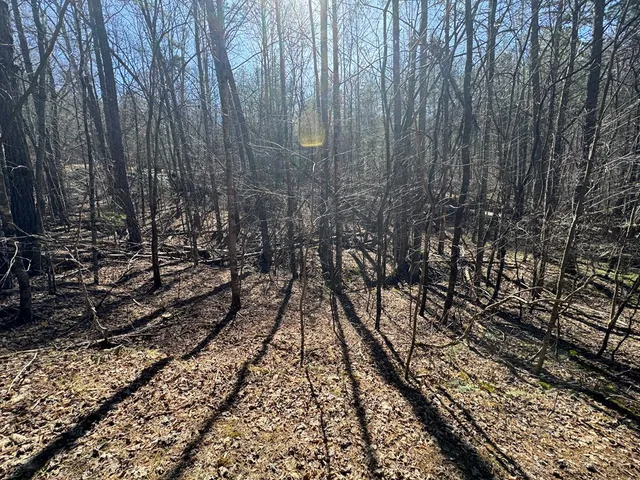 $75,000 | 2 Crockett Mountain Lane, Hayesville, NC 28904