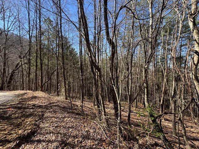 a view of a backyard of the house