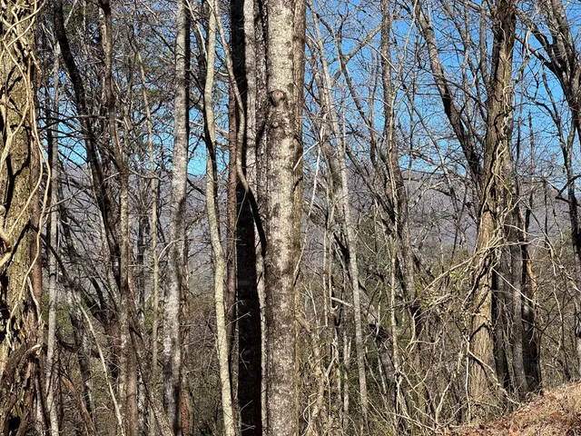 a view of outdoor space