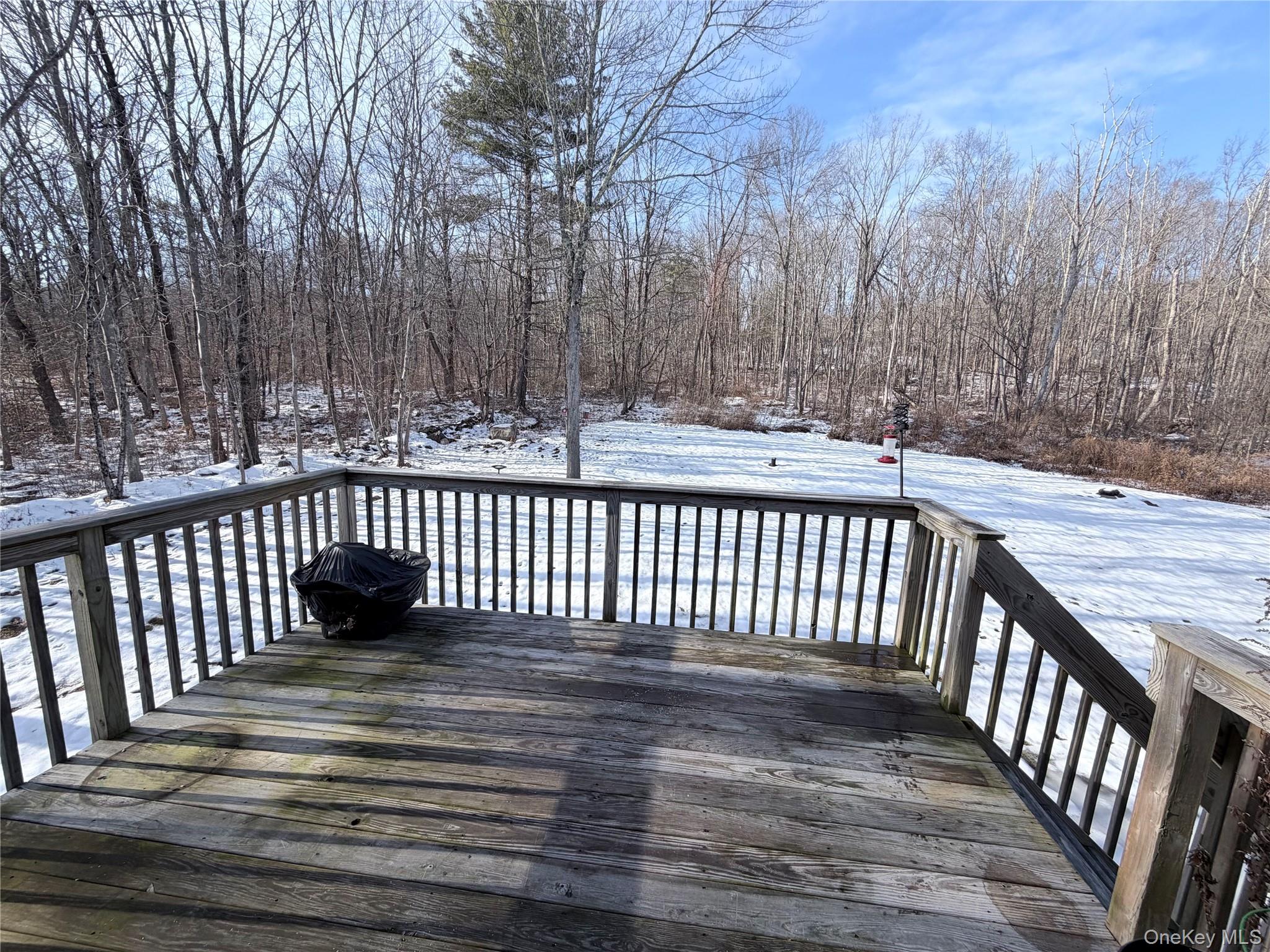 750 Mullock Road Port Jervis, NY 12771 - Photo 29 of 41 a view of deck and wooden floor