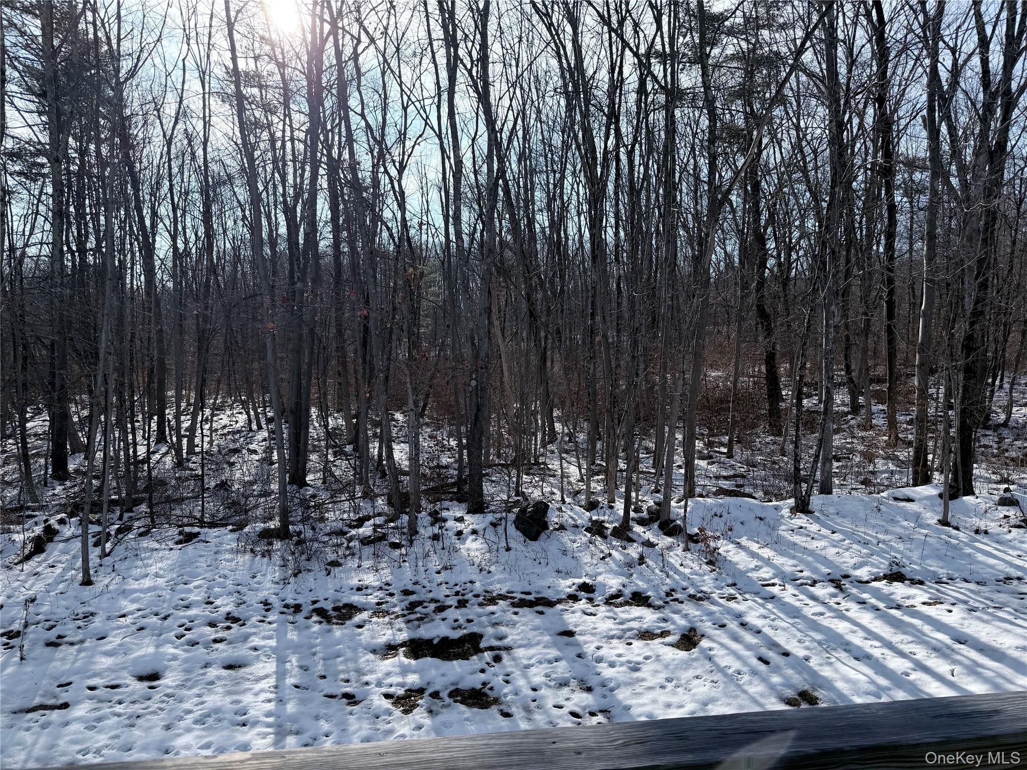 750 Mullock Road Port Jervis, NY 12771 - Photo 32 of 41 a view of outdoor space with chairs