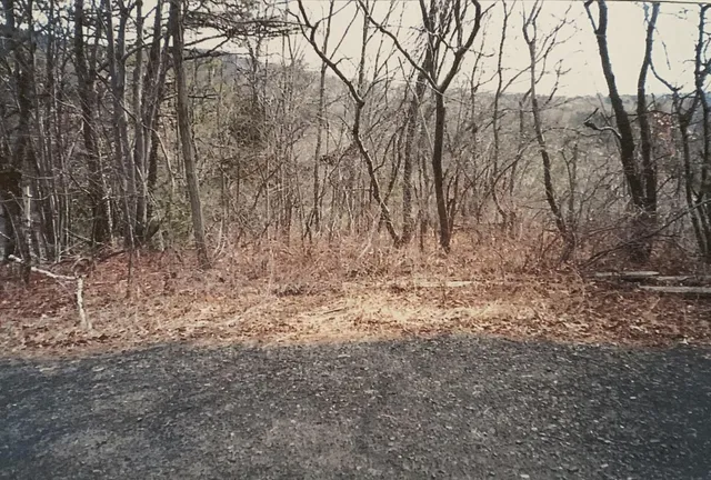 a view of backyard with green space