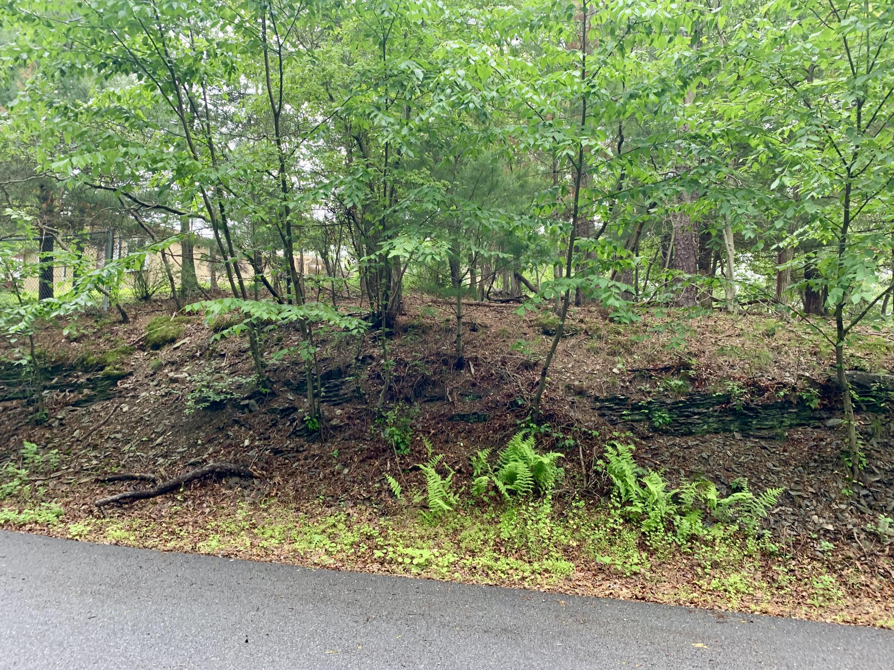 88 Beaver Lane East Stroudsburg, PA 18302 - Photo 3 of 11 a view of backyard with green space