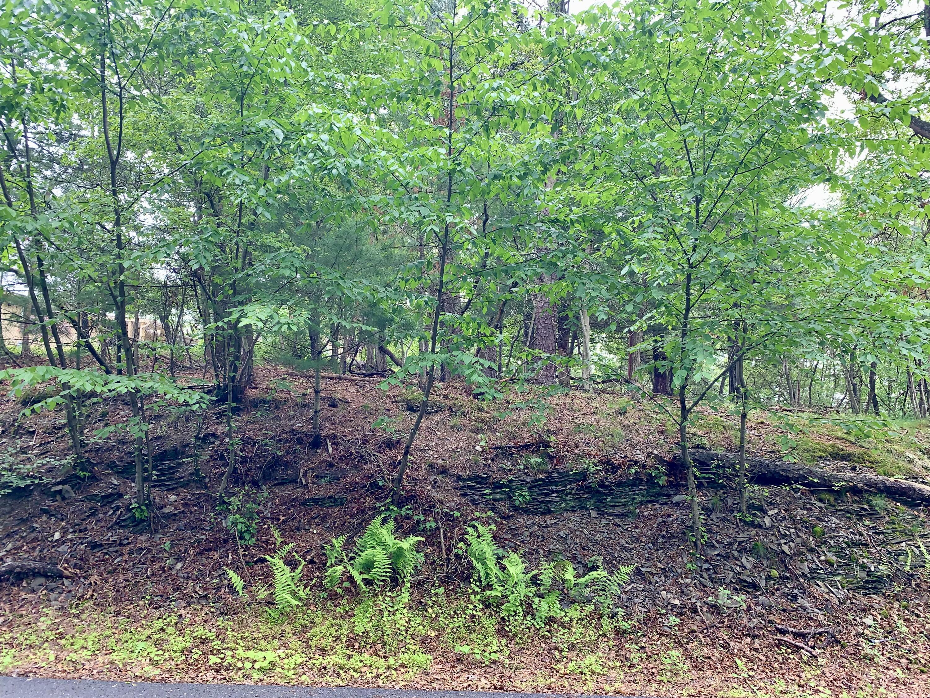 88 Beaver Lane East Stroudsburg, PA 18302 - Photo 9 of 11 a view of backyard with green space