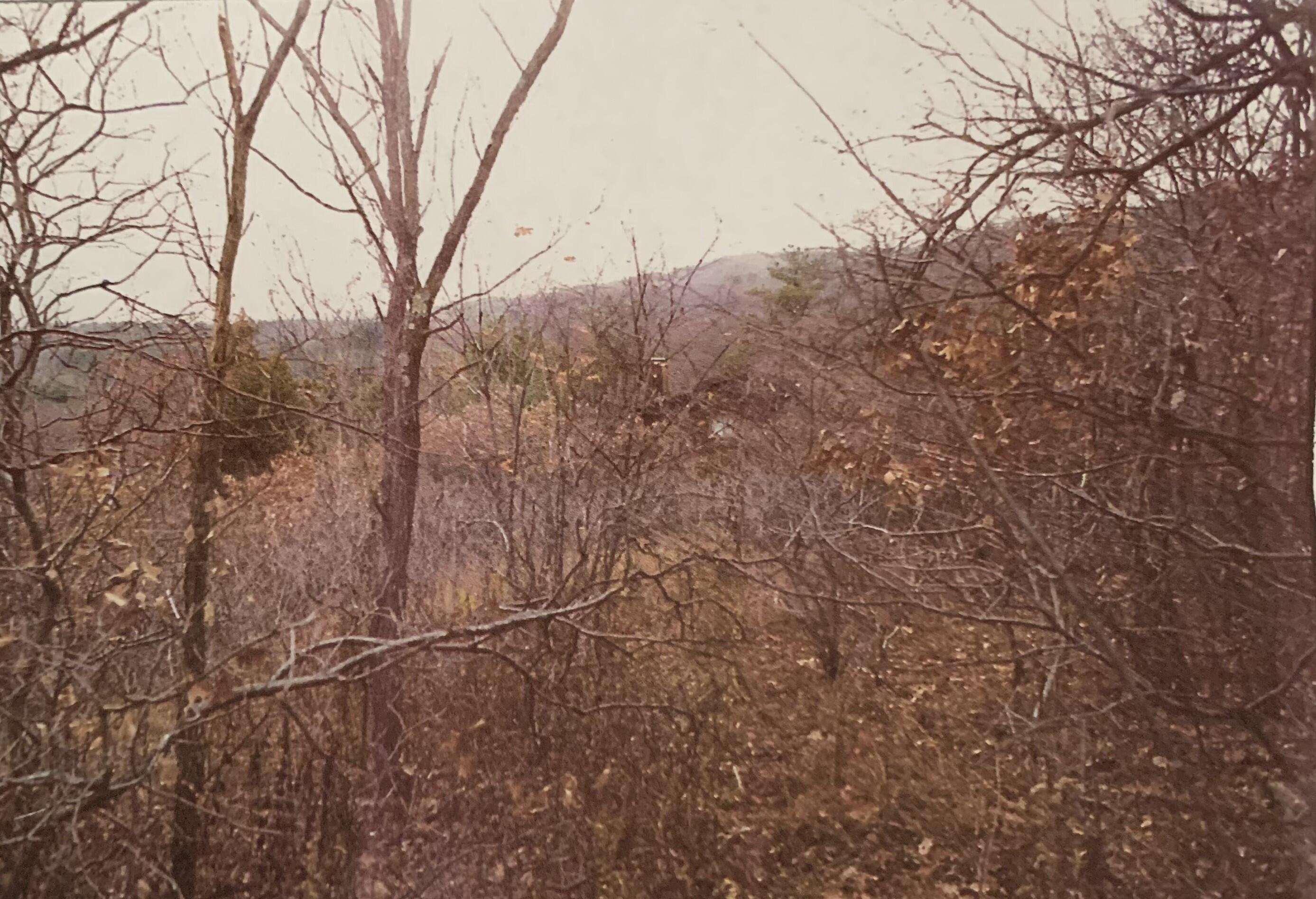 88 Beaver Lane East Stroudsburg, PA 18302 - Photo 10 of 11 a view of a covered with snow in the background