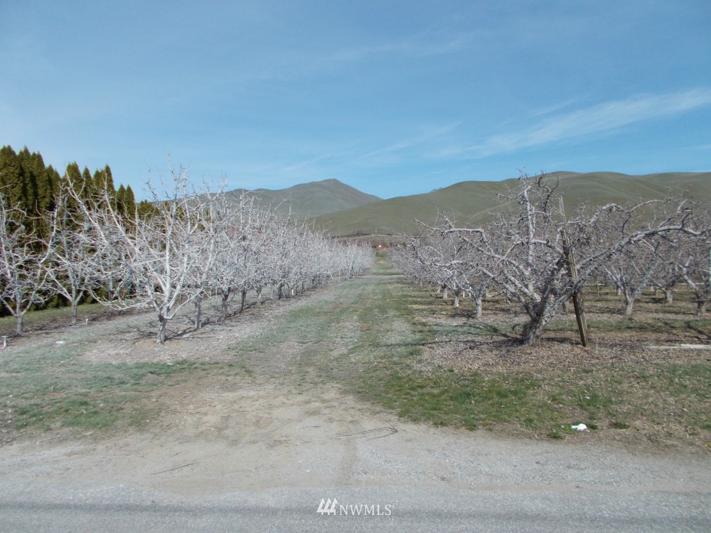 -nna Lower Monitor Road Wenatchee, WA 98801 - Photo 5 of 5 Gallery Image 5