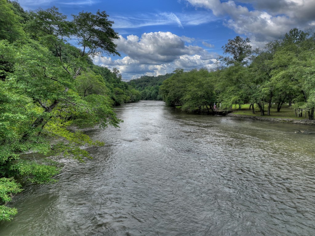 190 Toccoa Heights Road Blue Ridge, GA 30513 - Photo 3 of 64