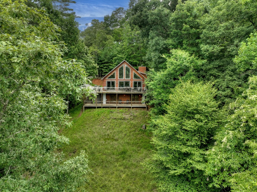 190 Toccoa Heights Road Blue Ridge, GA 30513 - Photo 47 of 64