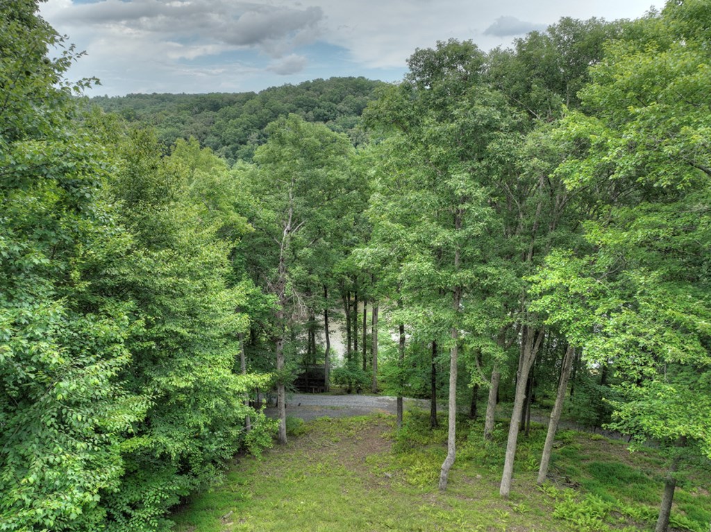 190 Toccoa Heights Road Blue Ridge, GA 30513 - Photo 48 of 64