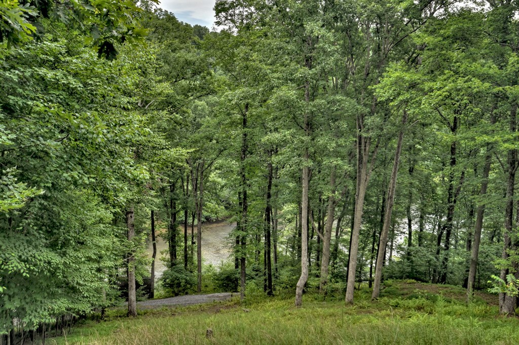 190 Toccoa Heights Road Blue Ridge, GA 30513 - Photo 49 of 64