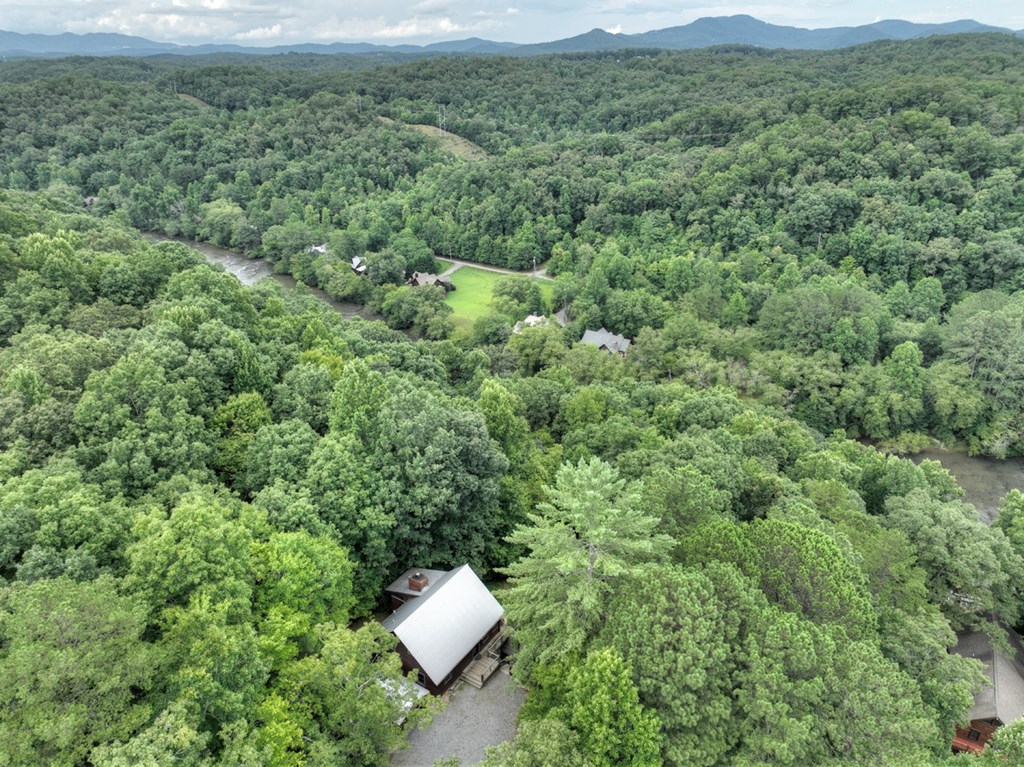 190 Toccoa Heights Road Blue Ridge, GA 30513 - Photo 50 of 64