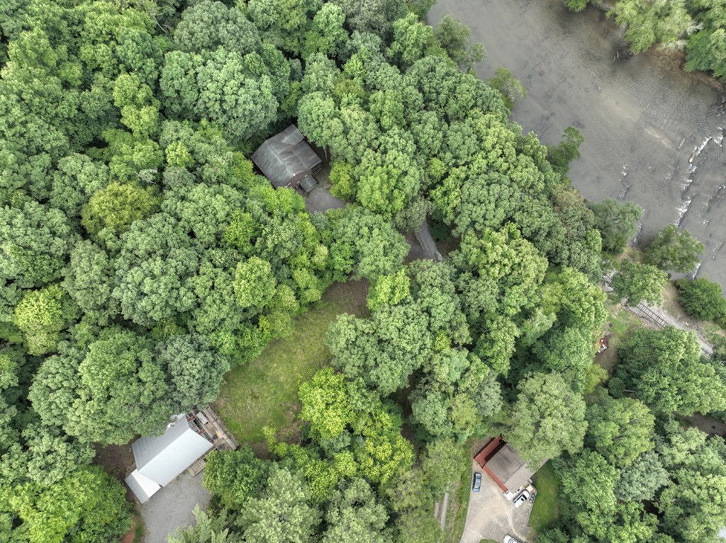 190 Toccoa Heights Road Blue Ridge, GA 30513 - Photo 52 of 64