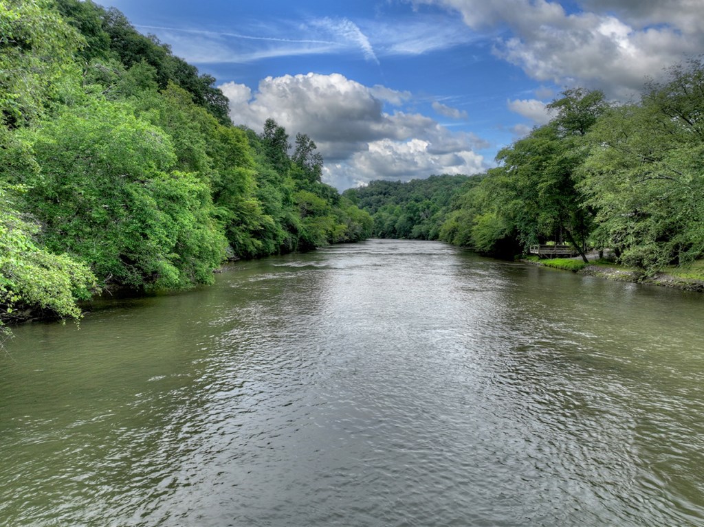 190 Toccoa Heights Road Blue Ridge, GA 30513 - Photo 56 of 64