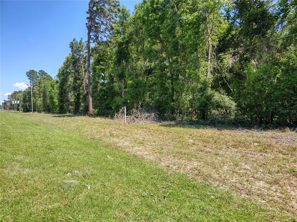 40 Hwy Inglis Inglis, FL 34449 - Photo 1 of 1 a view of outdoor space with green field and trees in the background
