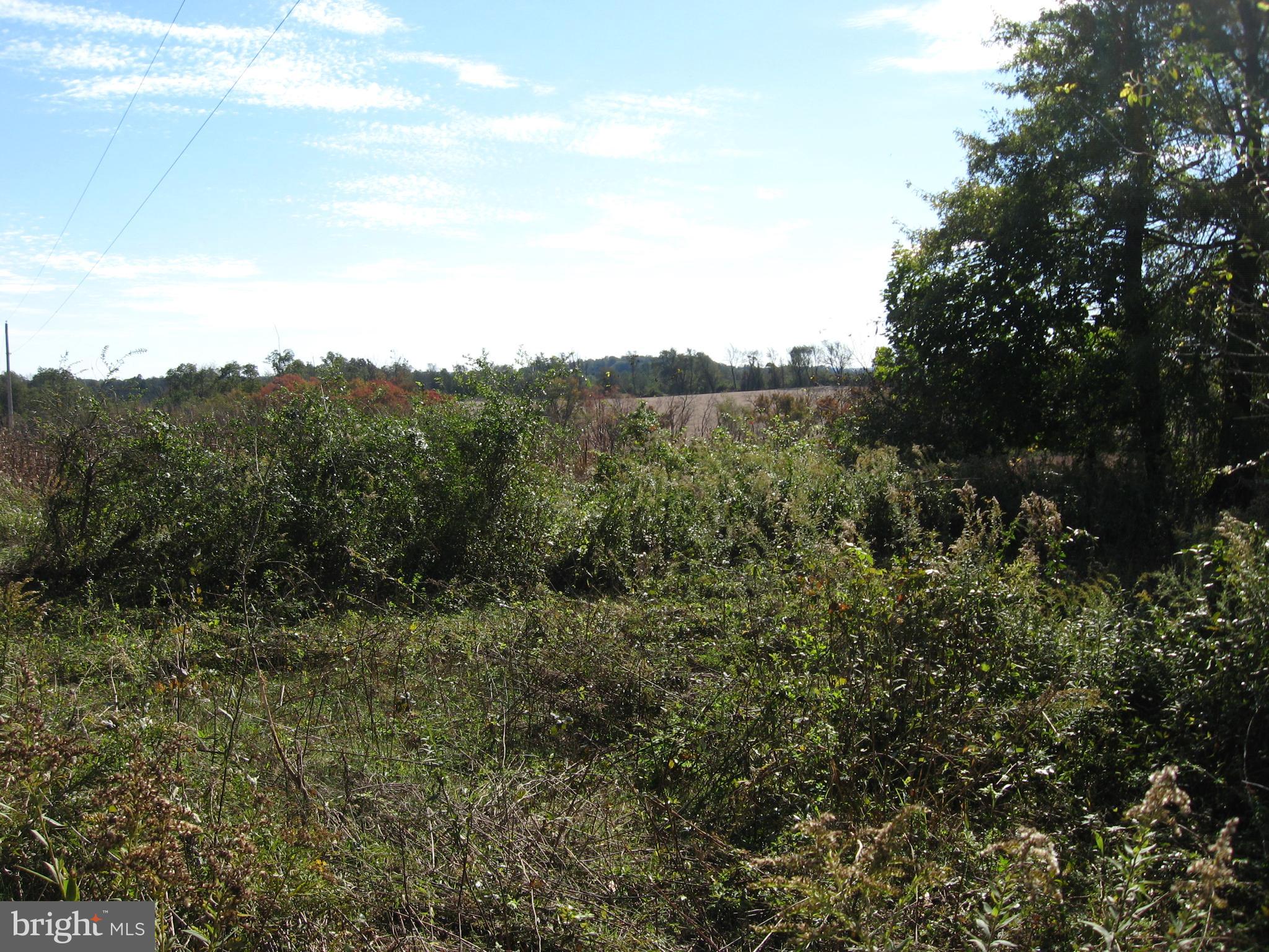 10801 Green Valley Road Union Bridge, MD 21791 - Photo 6 of 10 a view of a mountain in the distance in a field