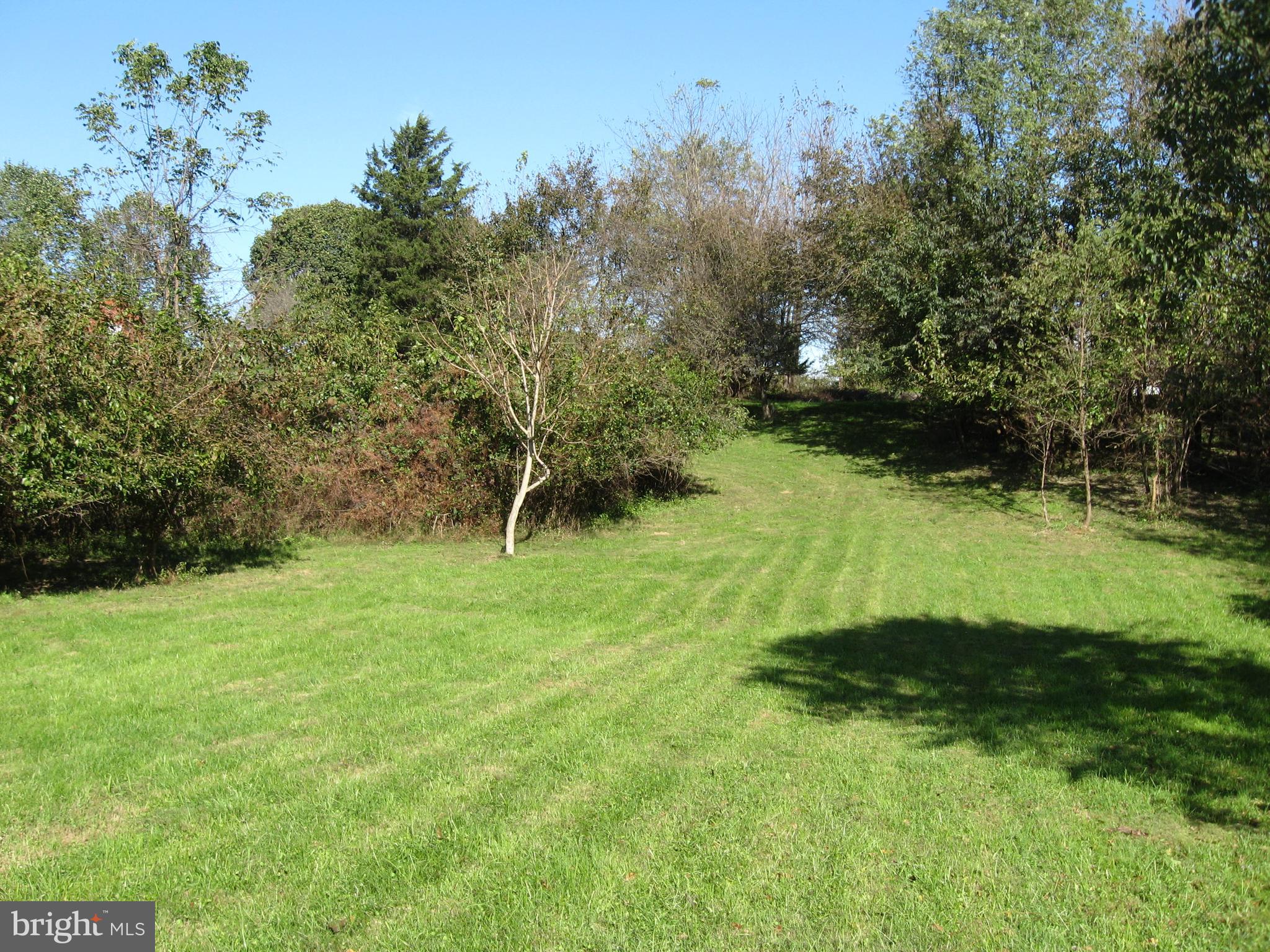10801 Green Valley Road Union Bridge, MD 21791 - Photo 7 of 10 a view of backyard with green space