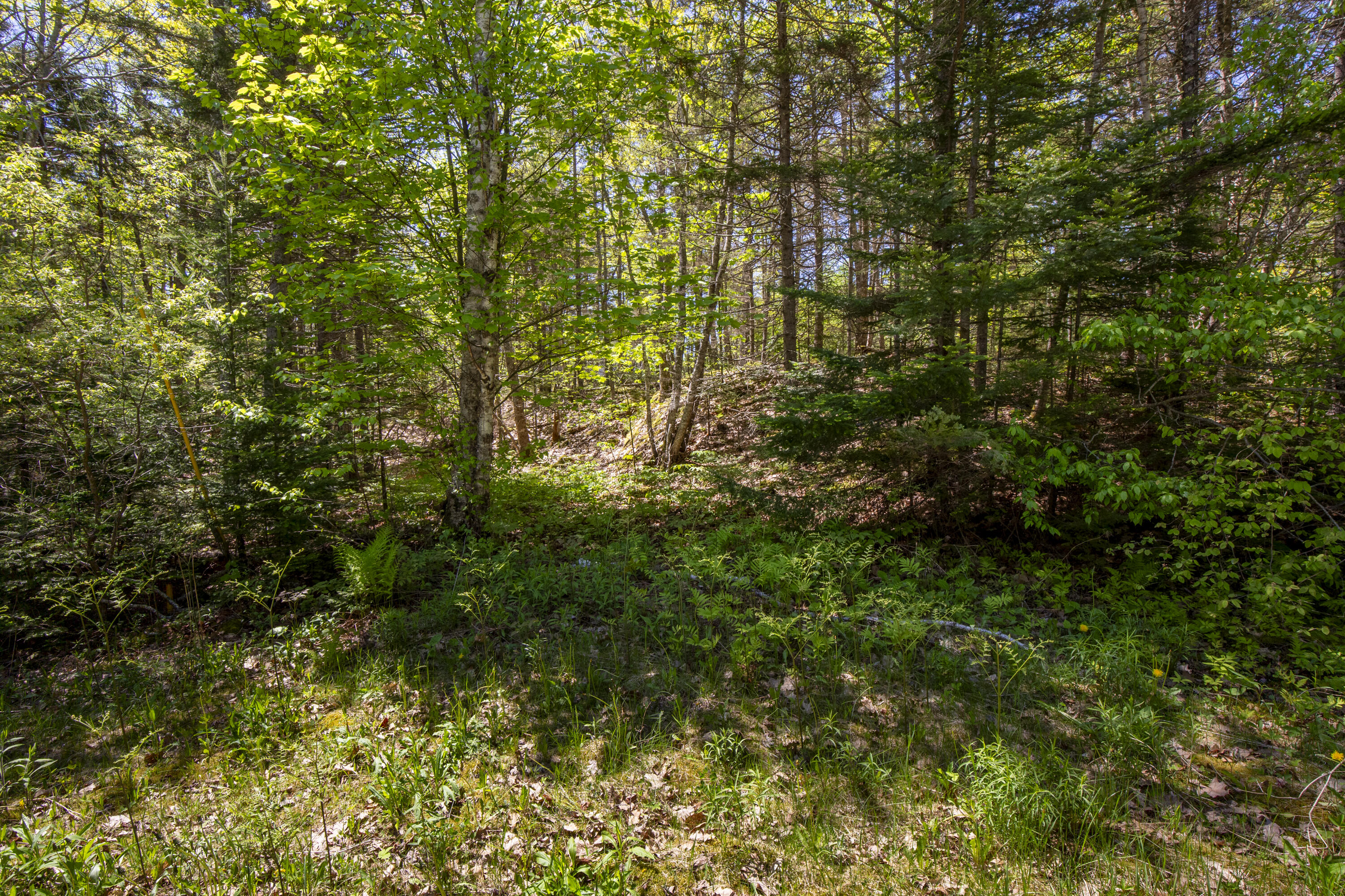 Lot 9 Boulder Hill Road Tenants Harbor, ME 04860 - Photo 4 of 11 15-Lot9-BoulderHillRd-StGeorge-KS