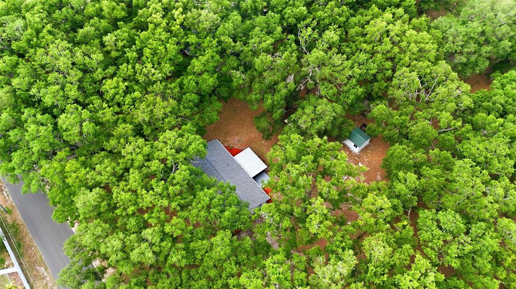 1918 Sydney Road Valrico, FL 33594 - Photo 31 of 35