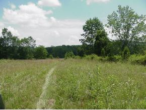 420 Elmer Hayes Road Mosheim, TN 37818 - Photo 3 of 9 Photo 3