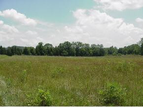 420 Elmer Hayes Road Mosheim, TN 37818 - Photo 5 of 9 Photo 5