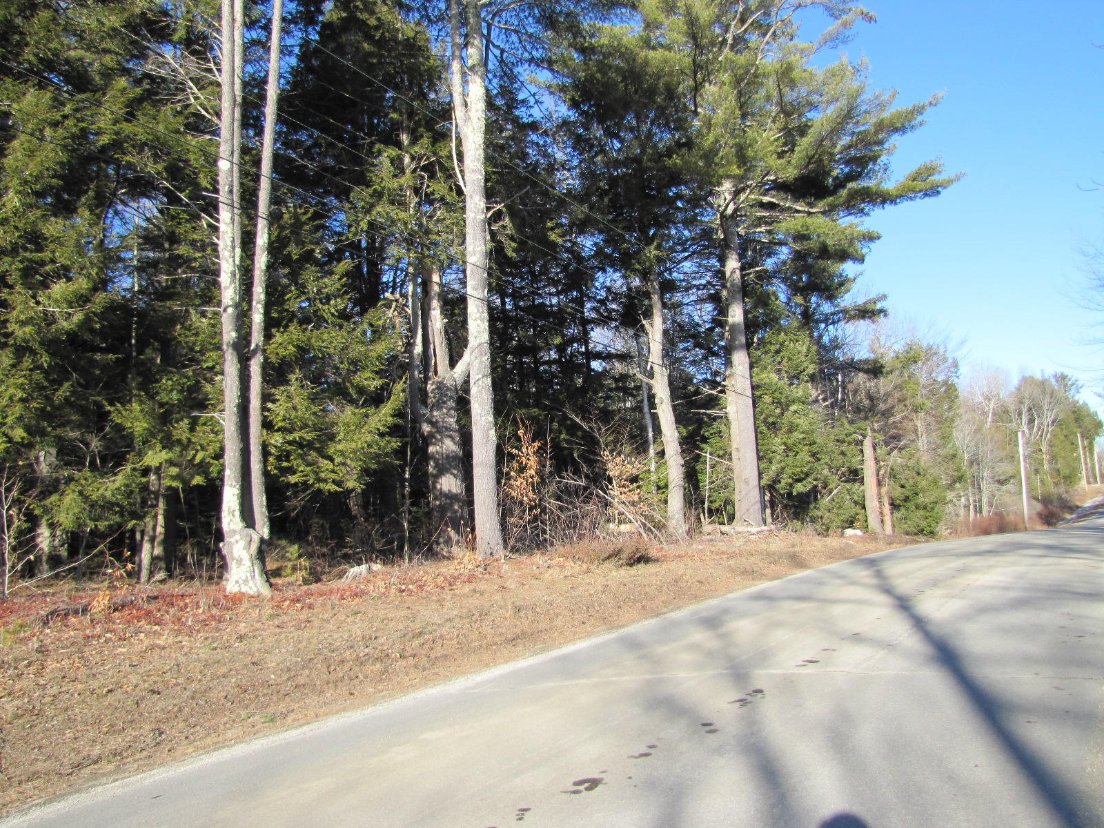0 Tufts Road Belfast, ME 04915 - Photo 3 of 5 0 Tufts Rd.1