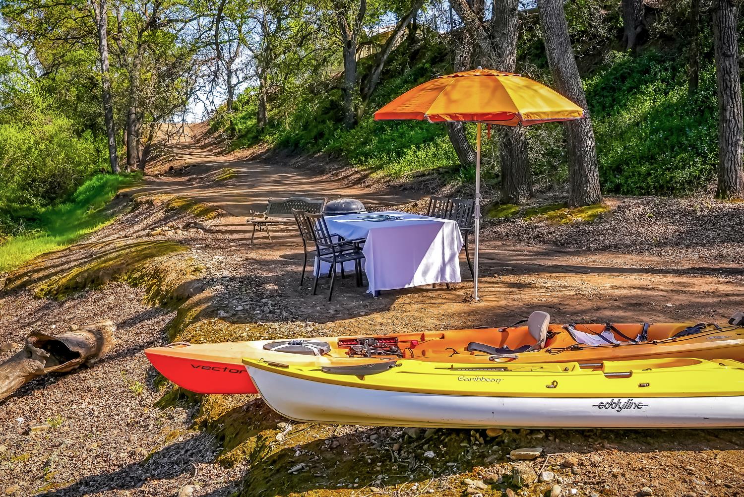 9985 North Shelton Road Linden, CA 95236 - Photo 93 of 96