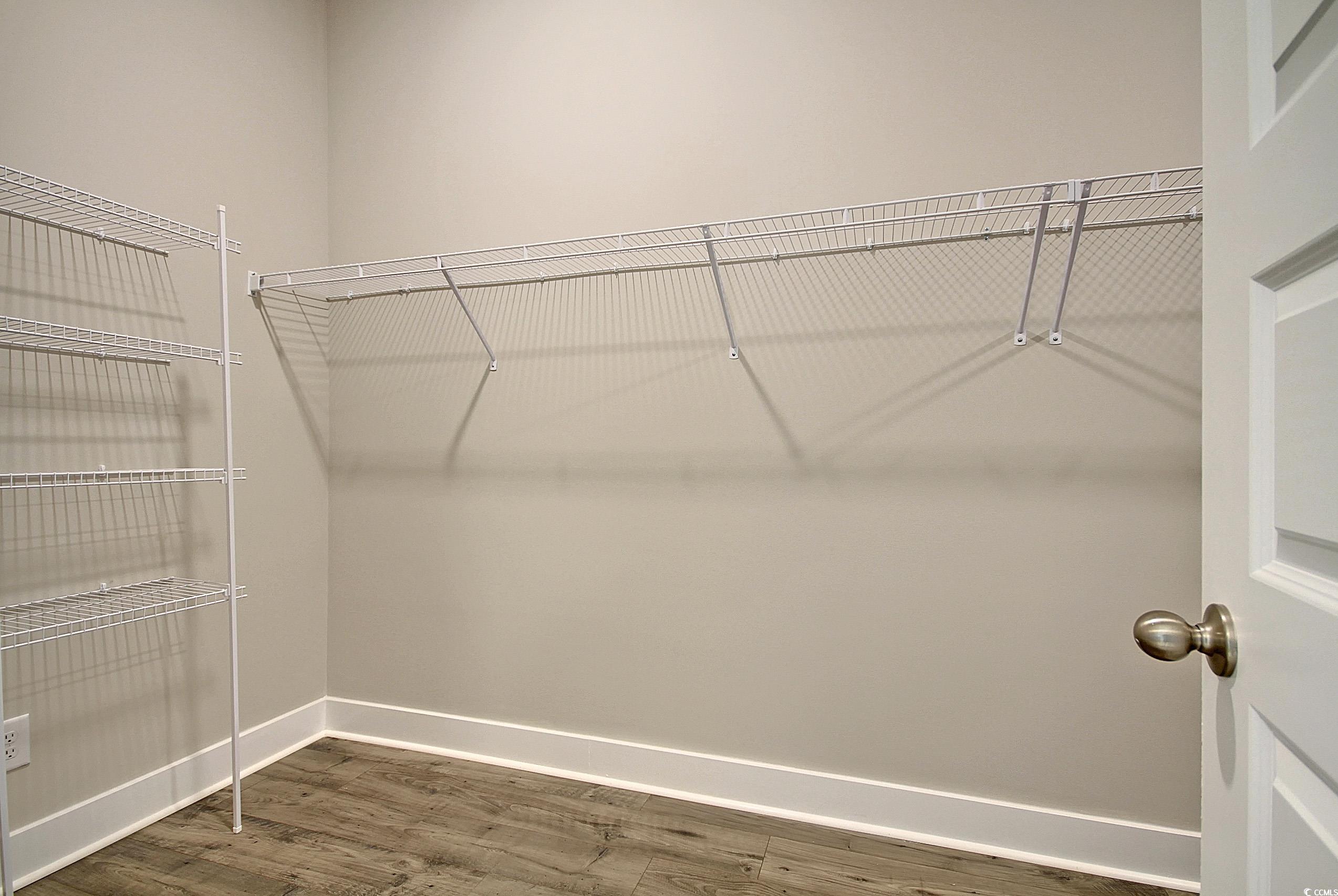 171 Pinebury Drive Georgetown, SC 29440 - Photo 18 of 30 Spacious closet with dark wood-style flooring
