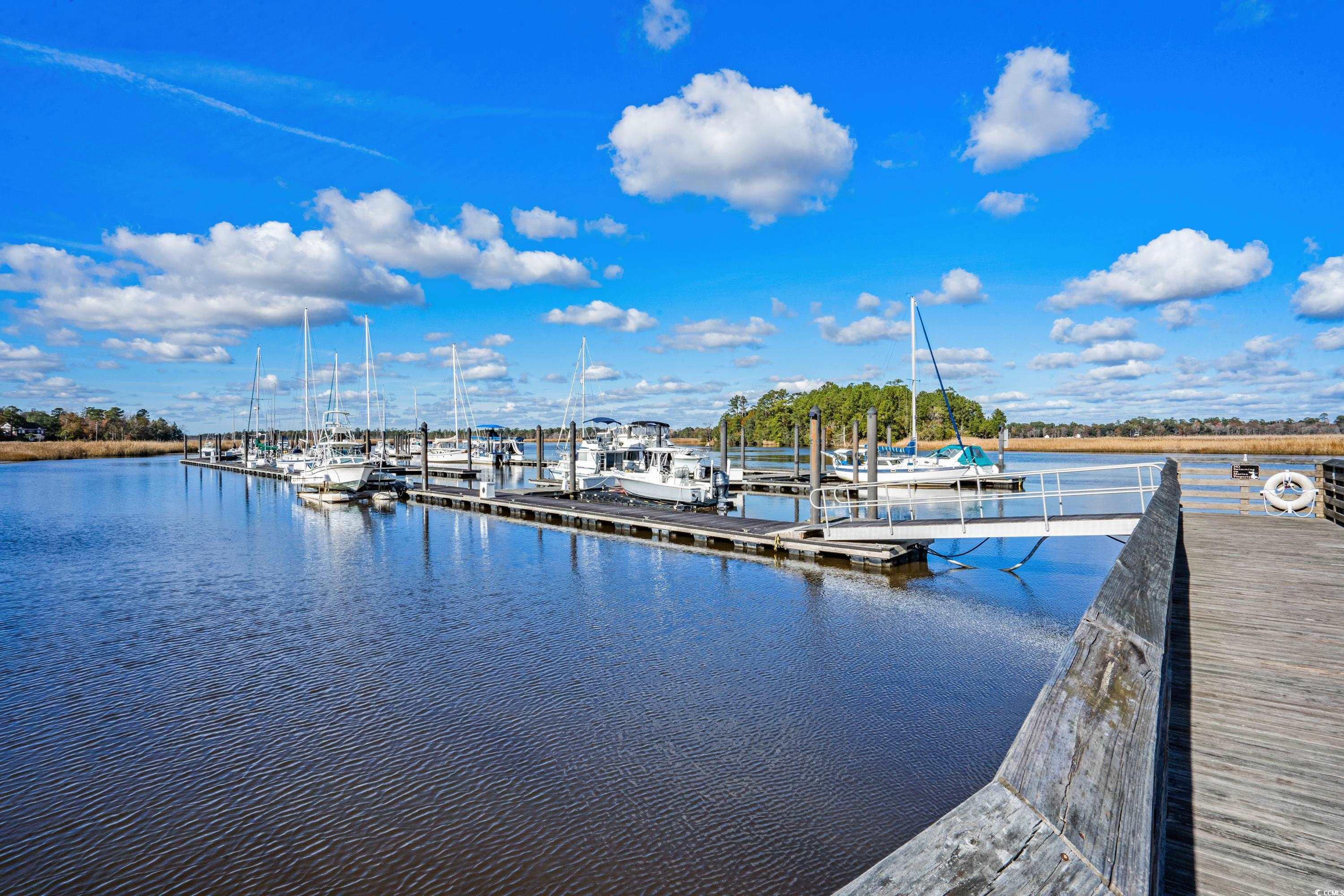 171 Pinebury Drive Georgetown, SC 29440 - Photo 26 of 30 Dock area featuring a water view and view of marina