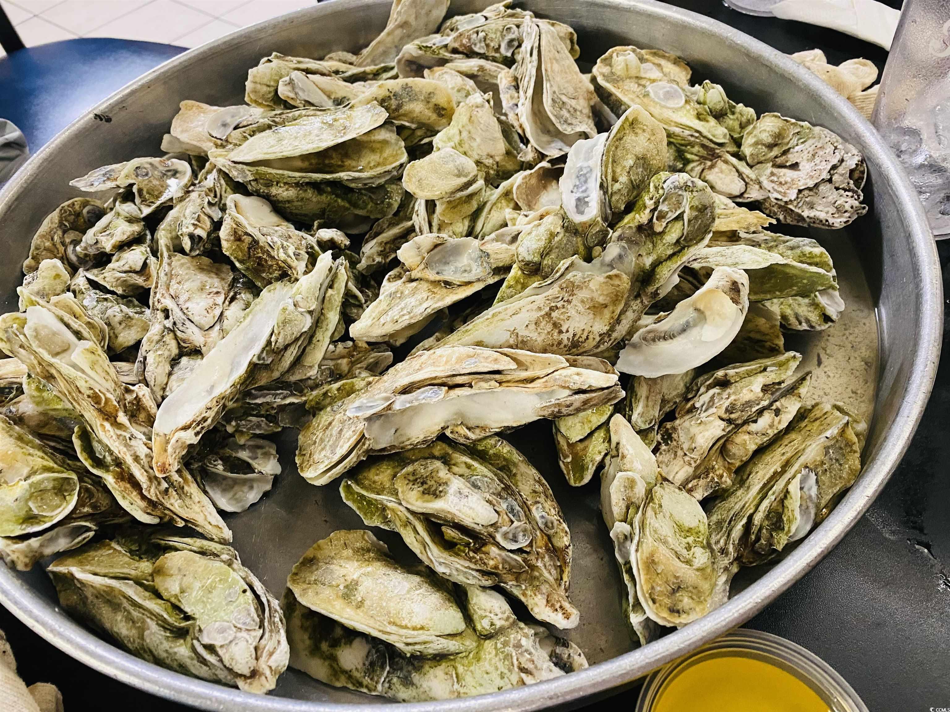 428 Daisy Street Georgetown, SC 29440 - Photo 39 of 40