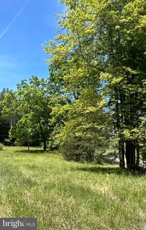 a view of a field with trees in the background