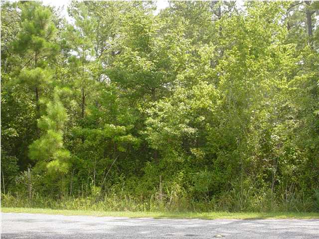 11 Spiers Cross, SC 29436 - Photo 1 of 1 Primary Photo