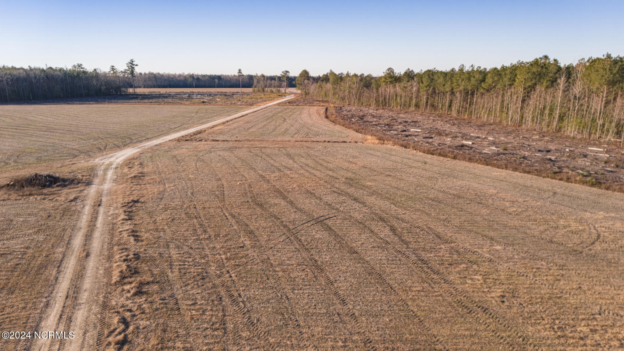 0 Smith Road Gates, NC 27937 - Photo 10 of 22 69 Acres Smith Rd-33