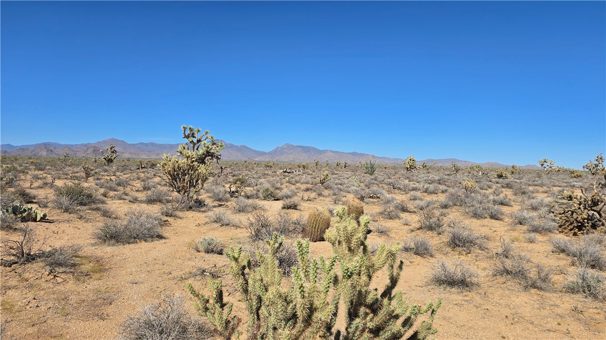 223-30-009 South Sundance Kid Road Yucca, AZ 86438 - Photo 4 of 13