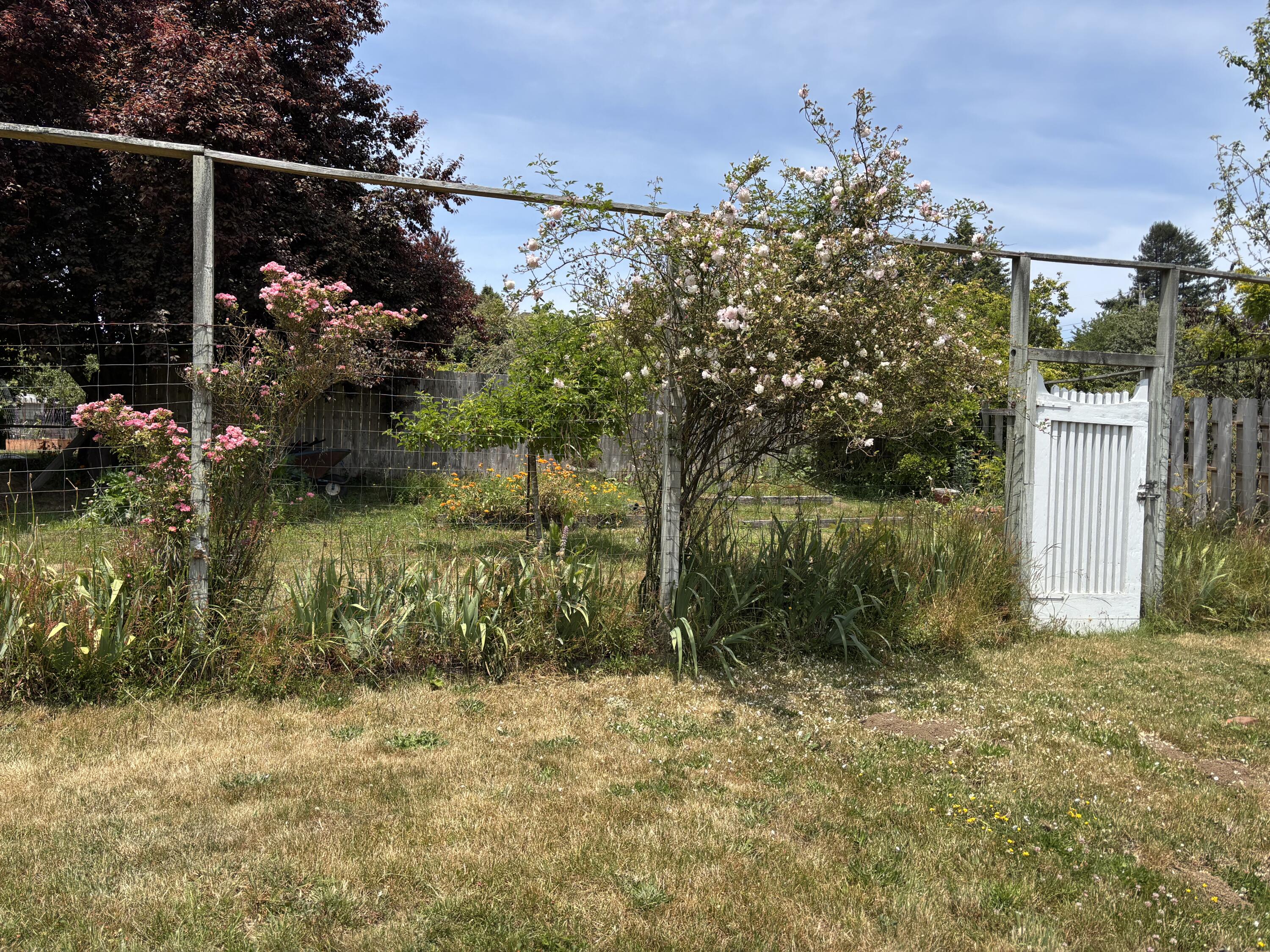 1584 Old Arcata Road Arcata, CA 95521 - Photo 5 of 28