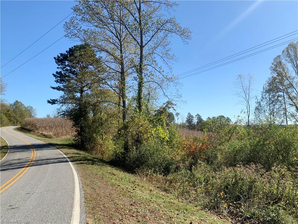 Tbd Tbd Shepherds Cross Road Traphill, NC 28685 - Photo 10 of 15 Gallery Image 10