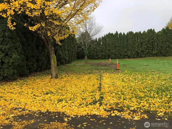 $650,000 | 310 West Pine Street, Elma, WA 98541