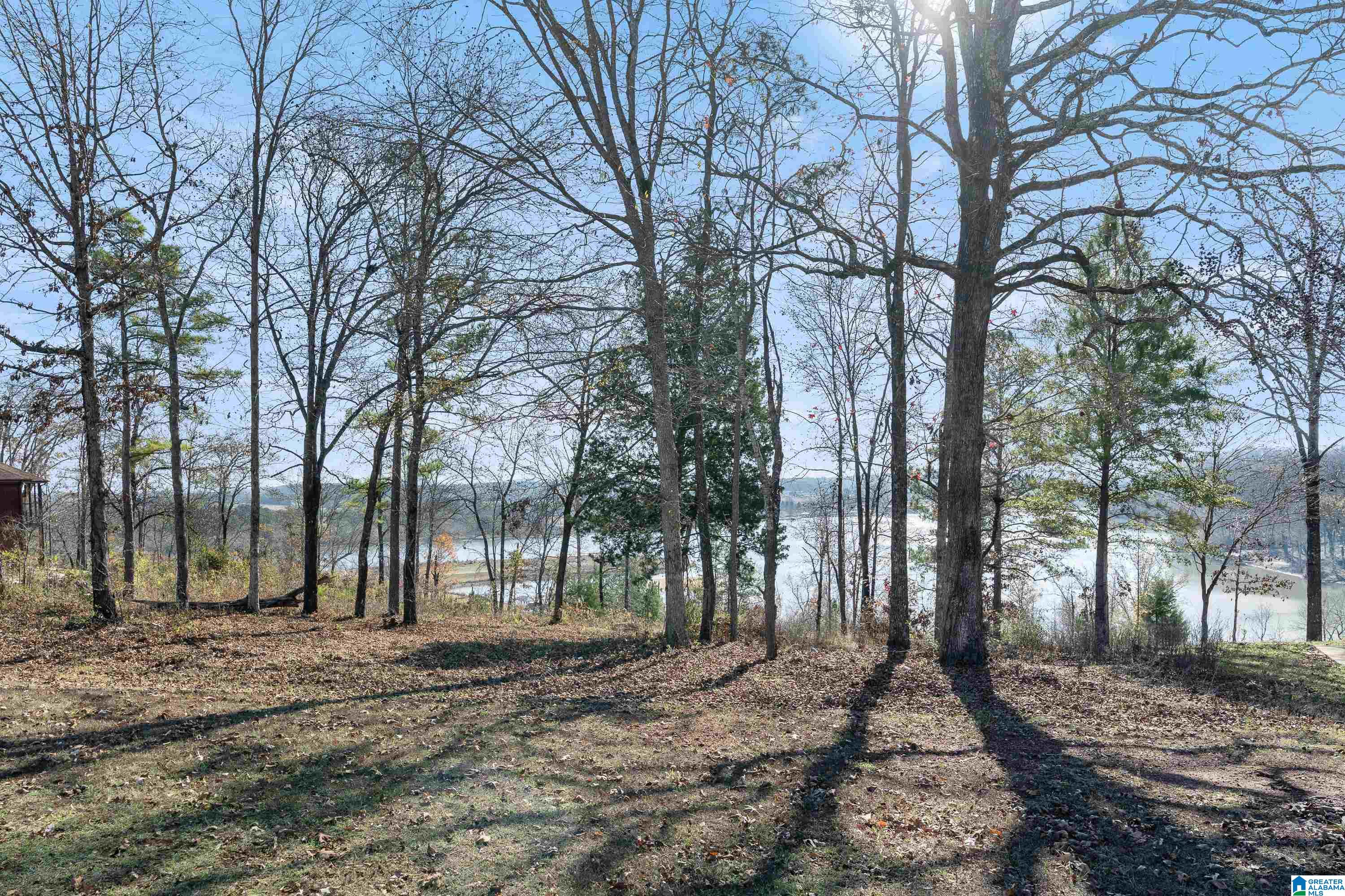 160 Overlook Ridge Lincoln, AL 35096 - Photo 35 of 44