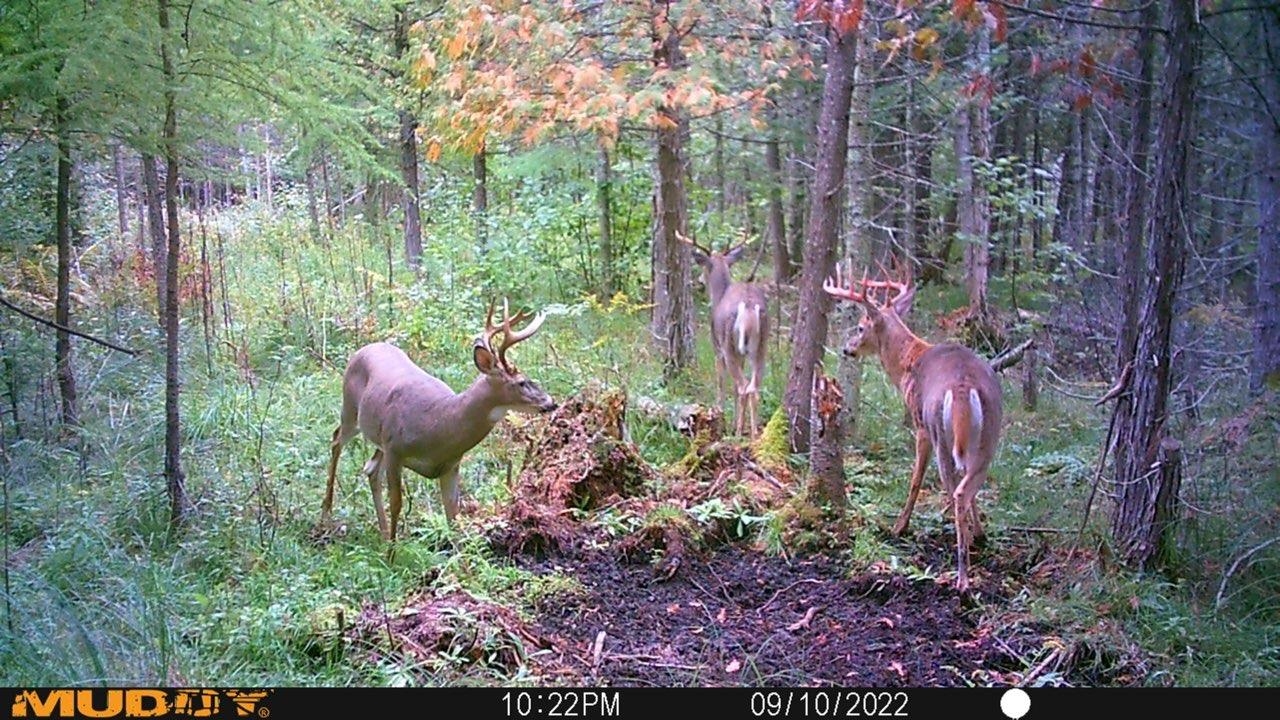 0 East Valley Road Cedar, MI 49621 - Photo 13 of 15 1930483-ebe905e0-fb17-41ec-a8e7-b290ed179a3a.JPG