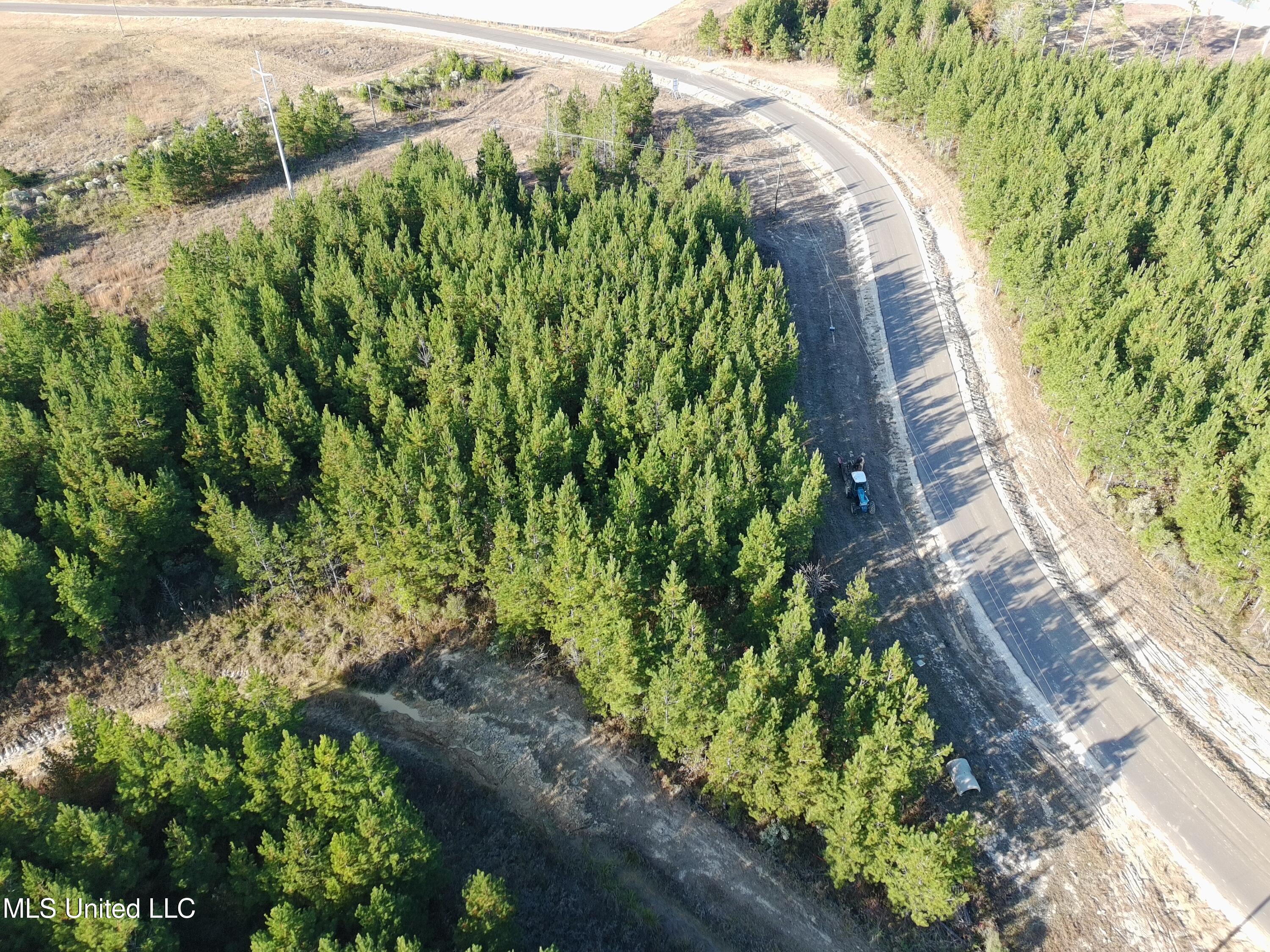 728 Freedom Ridge Lane Brandon, MS 39047 - Photo 2 of 9 _app_sd_ATOM_001_DCIM_PTSC_0137