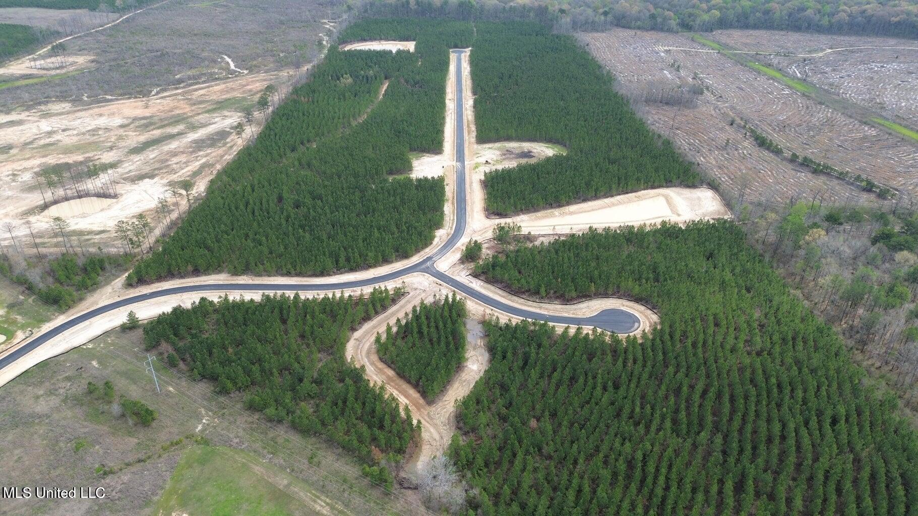 728 Freedom Ridge Lane Brandon, MS 39047 - Photo 4 of 9 20240321193801645459000000-o