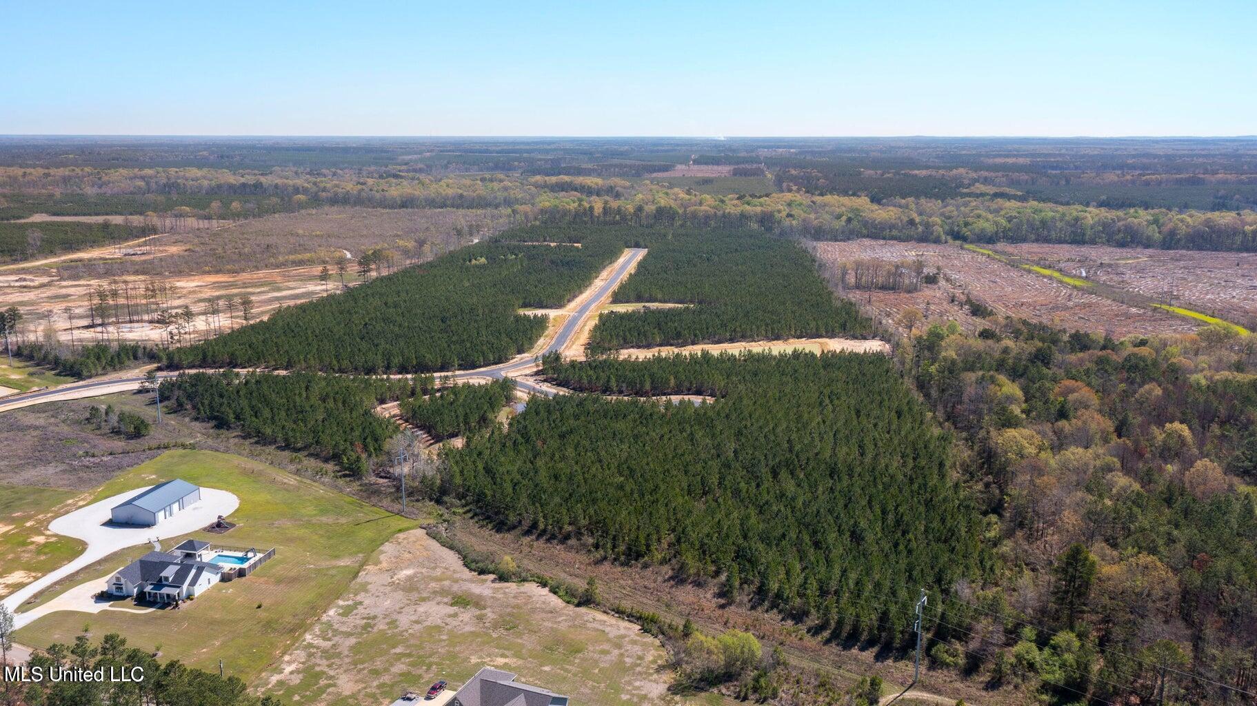 728 Freedom Ridge Lane Brandon, MS 39047 - Photo 8 of 9 20241004175405213796000000-o