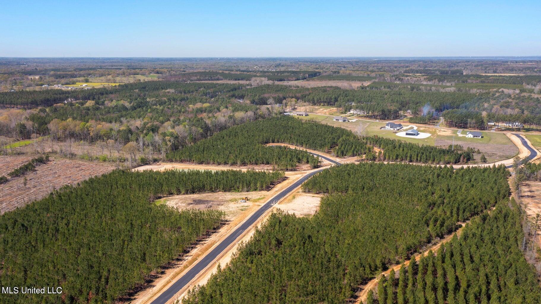 728 Freedom Ridge Lane Brandon, MS 39047 - Photo 9 of 9 20241004175457606703000000-o