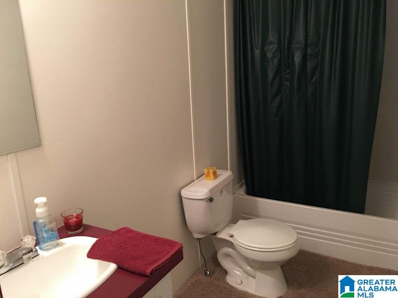 20636 Sandy Drive McCalla, AL 35111 - Photo 17 of 18