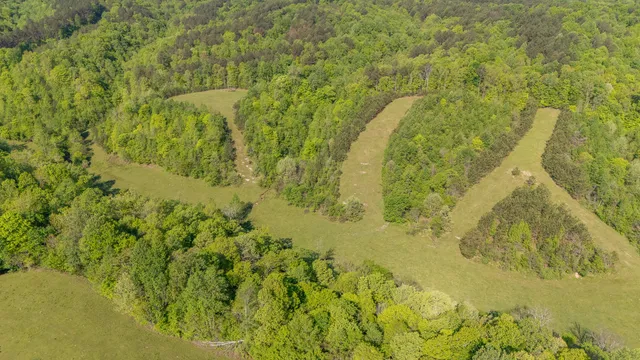 $2,099,900 | 198 Robinson Hollow Road, Waynesboro, TN 38485